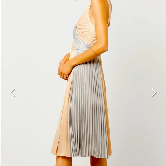 BCBG pleated A-line dress BCBG pleated A-line dress